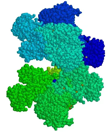 The Glucose-6-phosphate dehydrogenase deficiency card