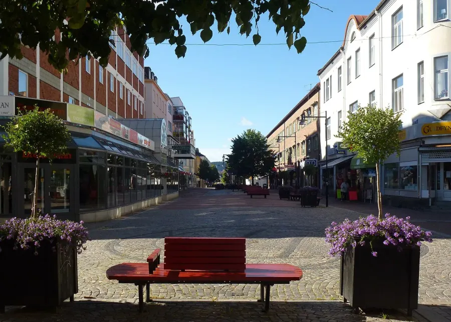The Ludvika card