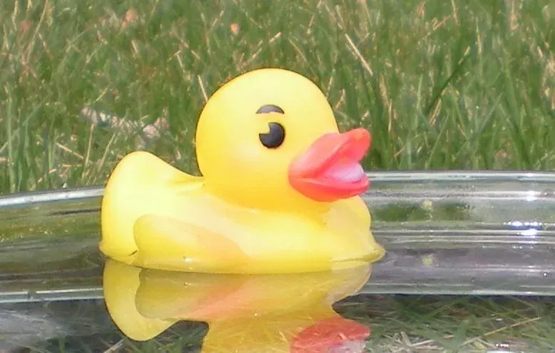 The Rubber duck card