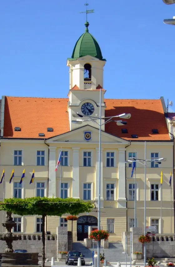 The Teplice District card