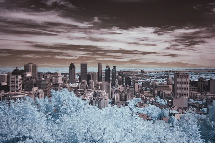 The Infrared photography card