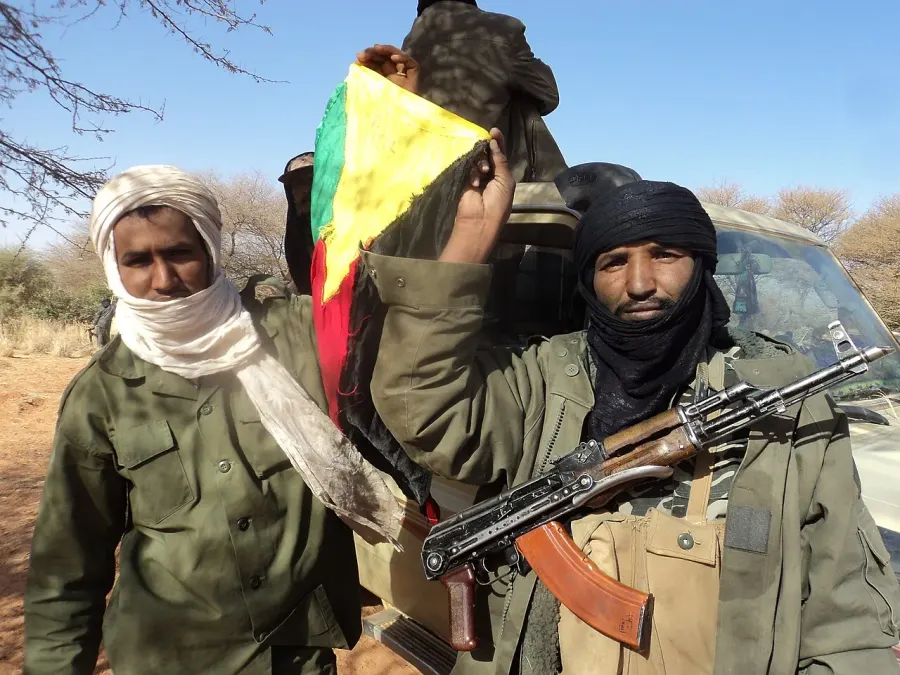 The National Movement for the Liberation of Azawad card
