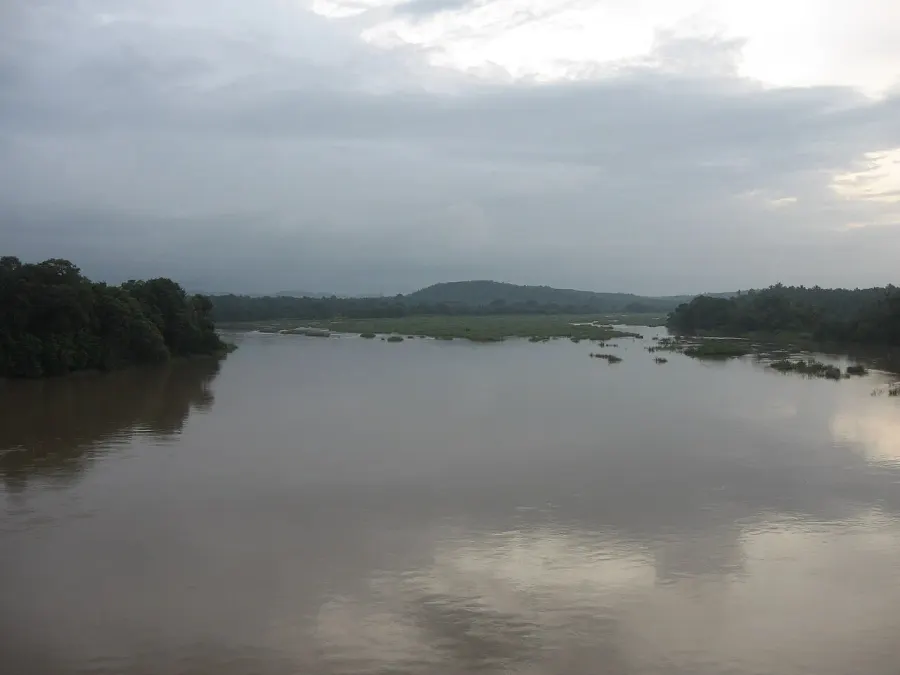 The Bharathappuzha card