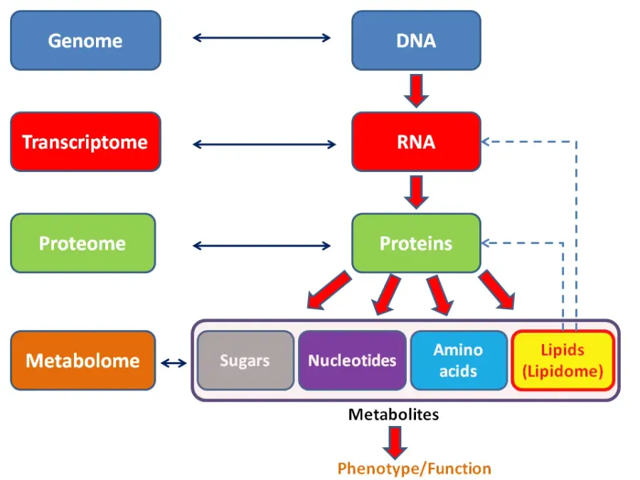 The Proteome card