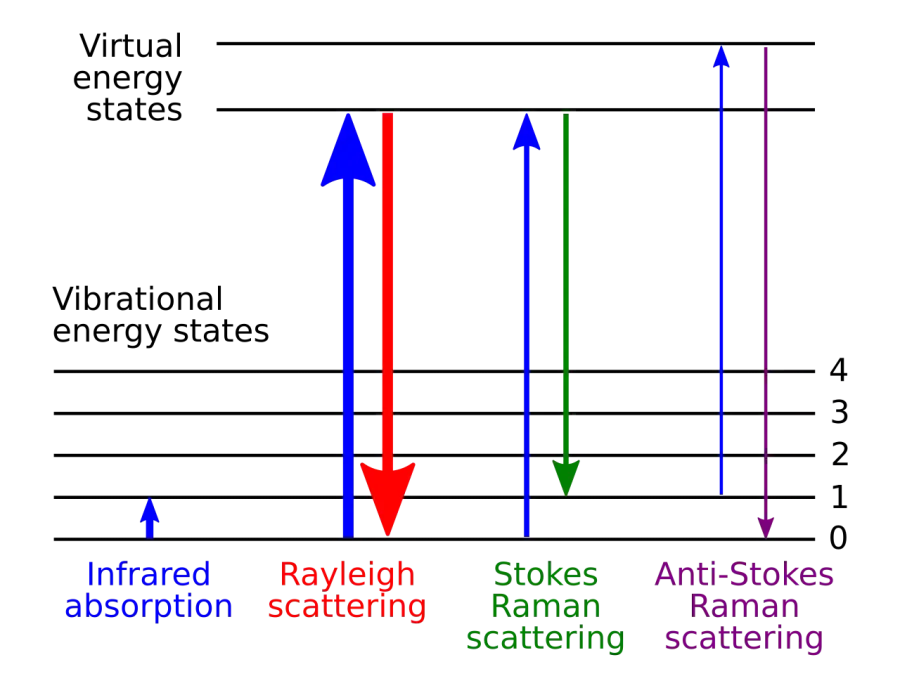 The Raman spectroscopy card