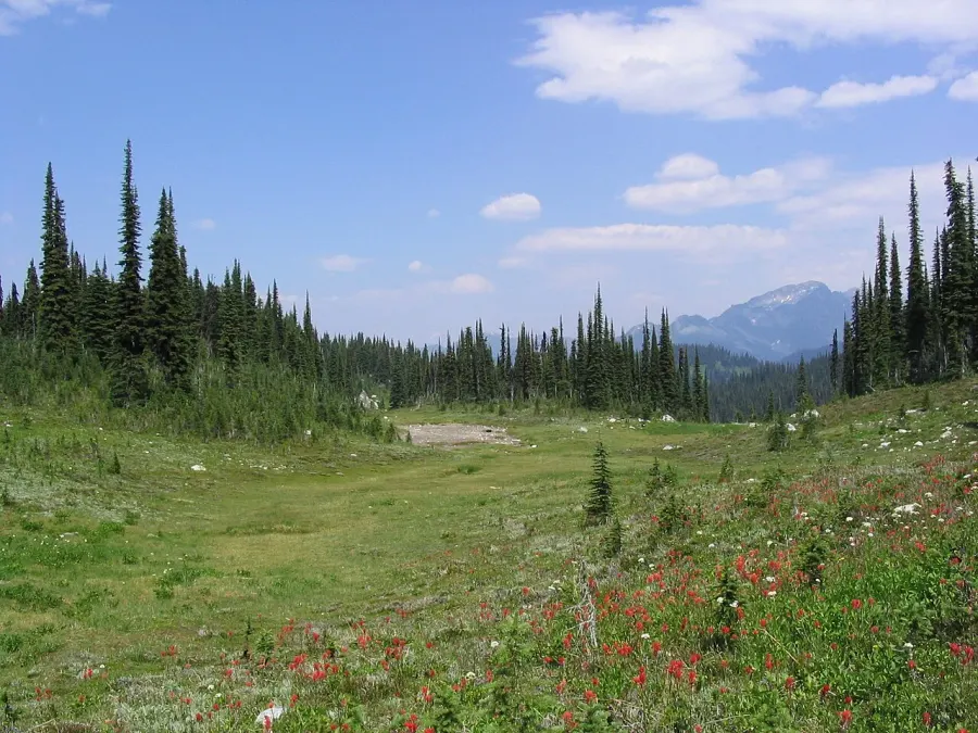 La carte Parc national du Mont-Revelstoke