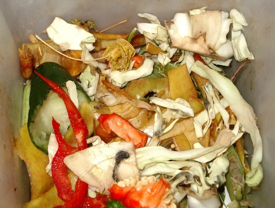 La carte Déchet biodégradable