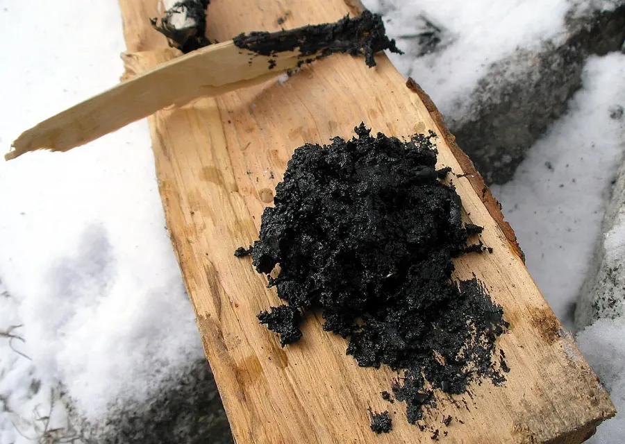 The Birch bark tar card