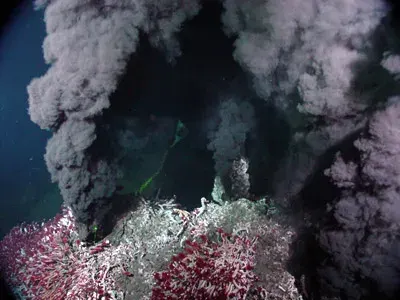 The Hydrothermal vent card