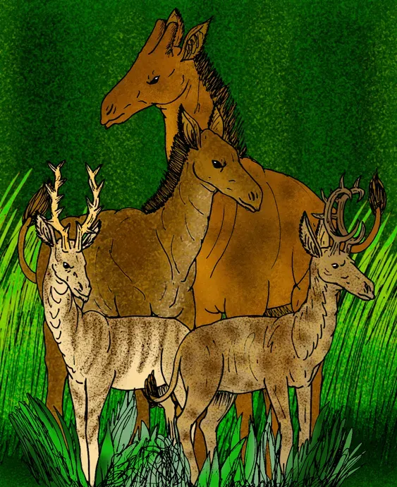 La carte Climacoceratidae