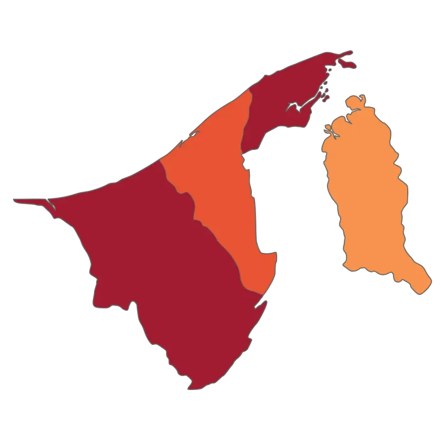 La carte Pandémie de Covid-19 au Brunei
