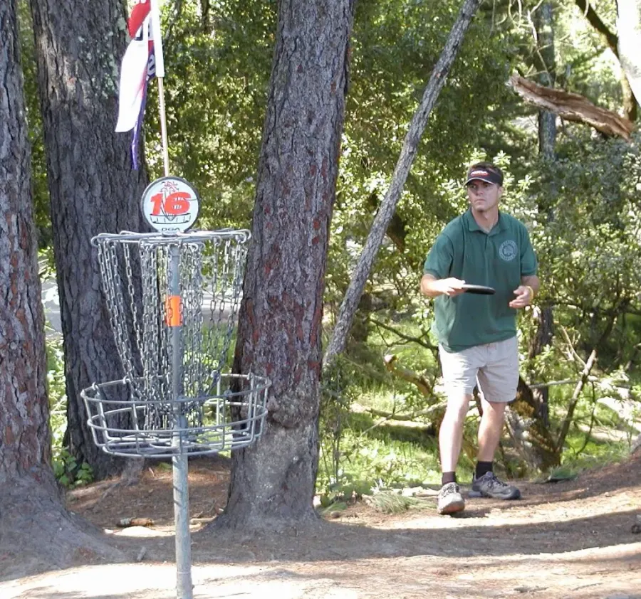 The Disc golf card