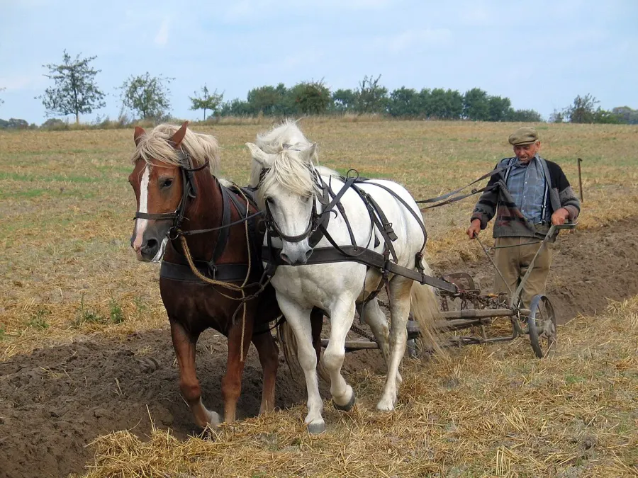 The Tillage card