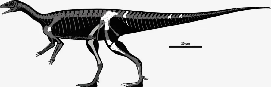 The Chromogisaurus card