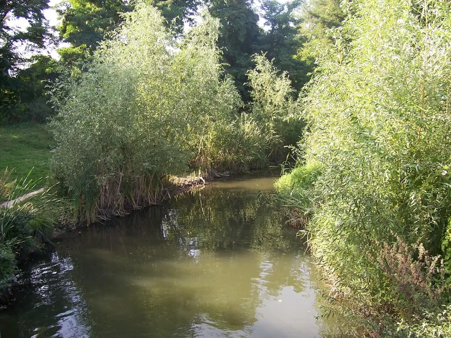 The Bièvre card
