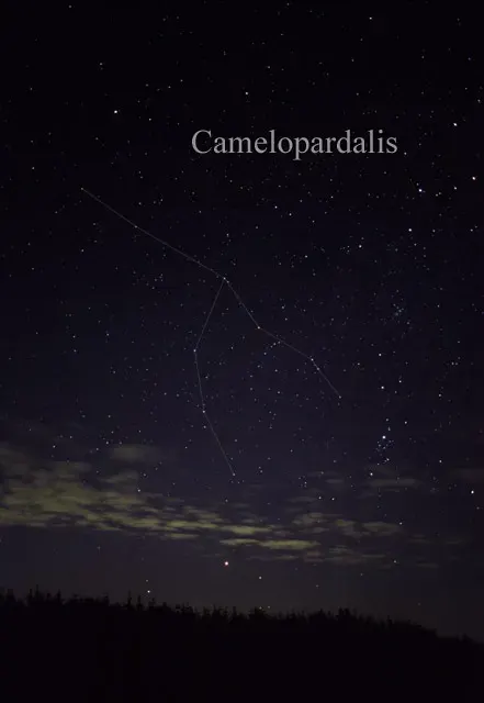 The Camelopardalis card