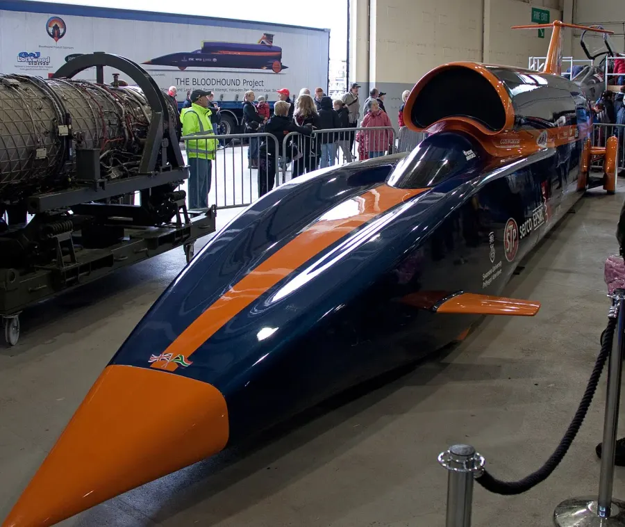 The Bloodhound LSR card