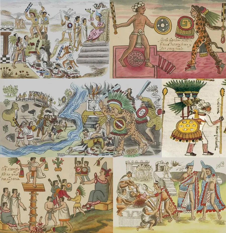 La carte Guerre fleurie