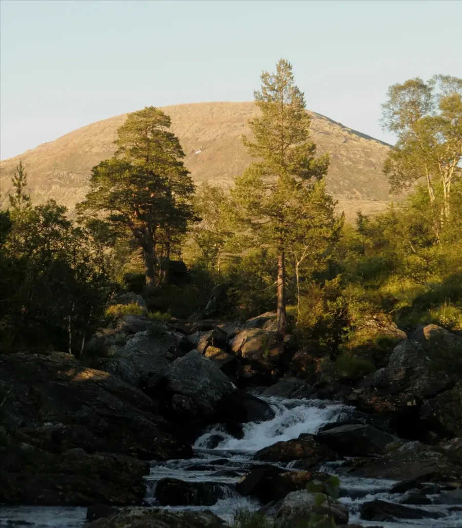 La carte Parc national de Blåfjella-Skjækerfjella