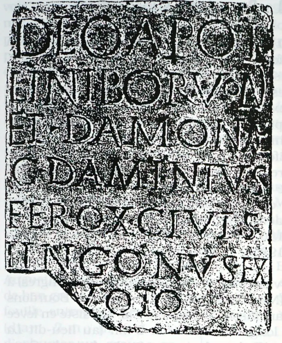 The Borvo card