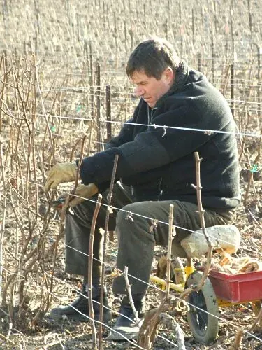 The Winemaker card