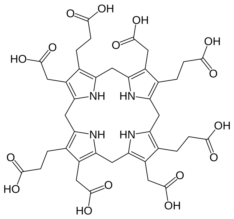 The Uroporphyrinogen III card