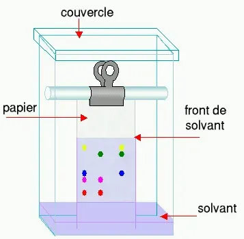 The Paper chromatography card