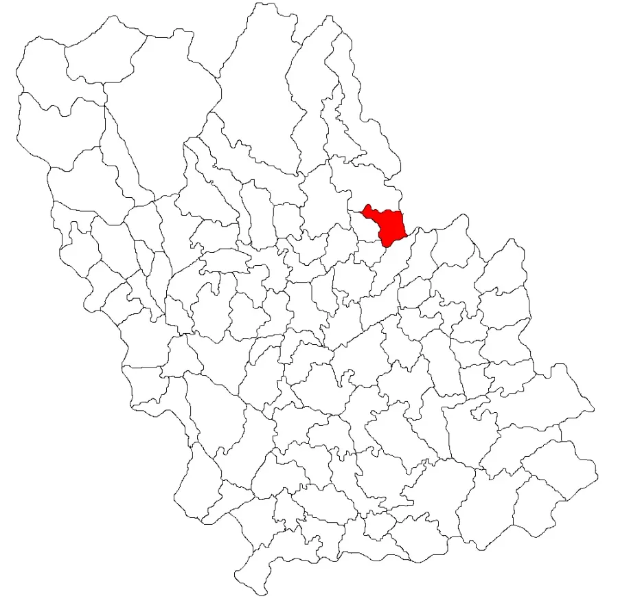 The Cărbunești card