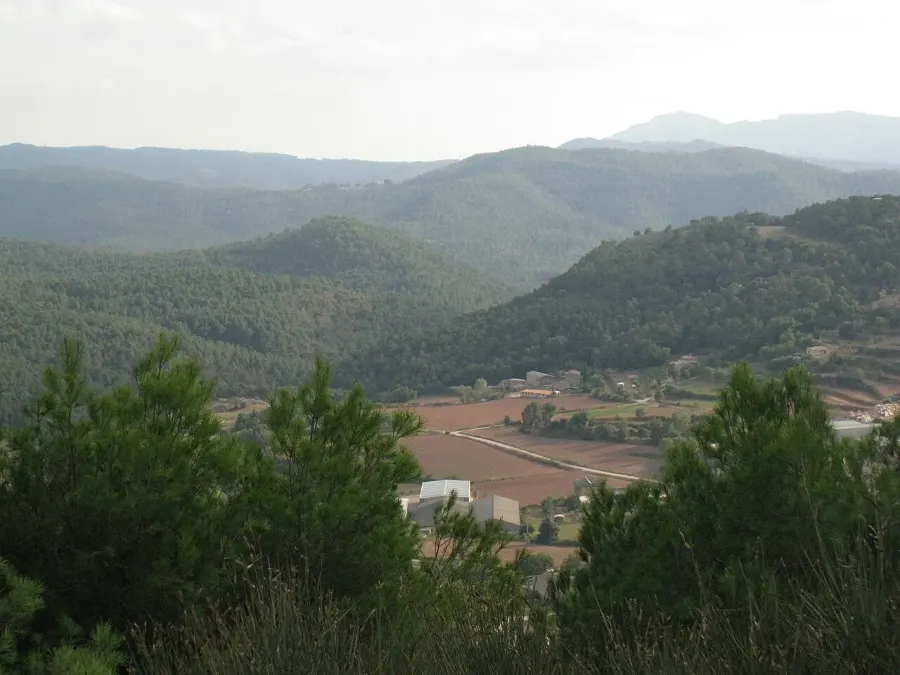 The Moianès card