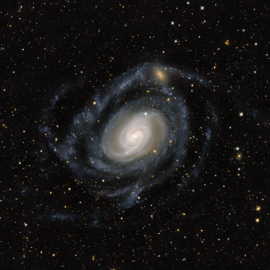 The NGC 289 card