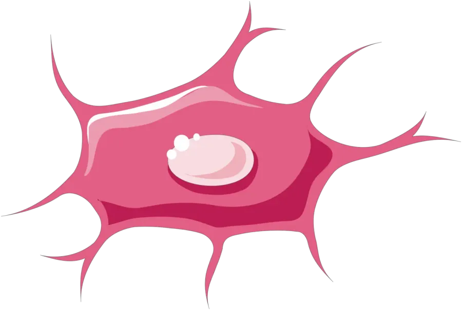 La carte Ostéocyte