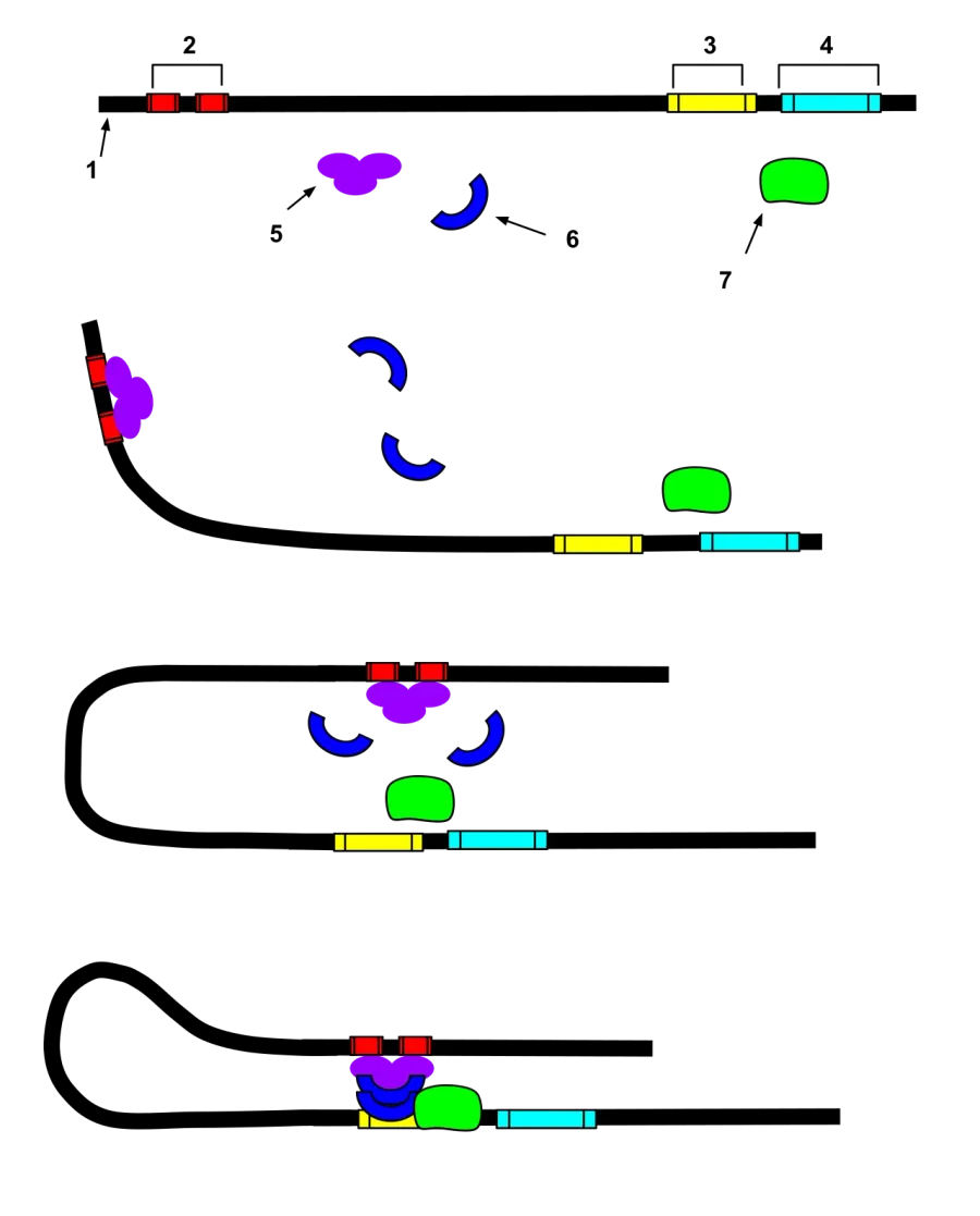 The Enhancer card