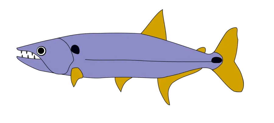 The Acestrorhynchidae card