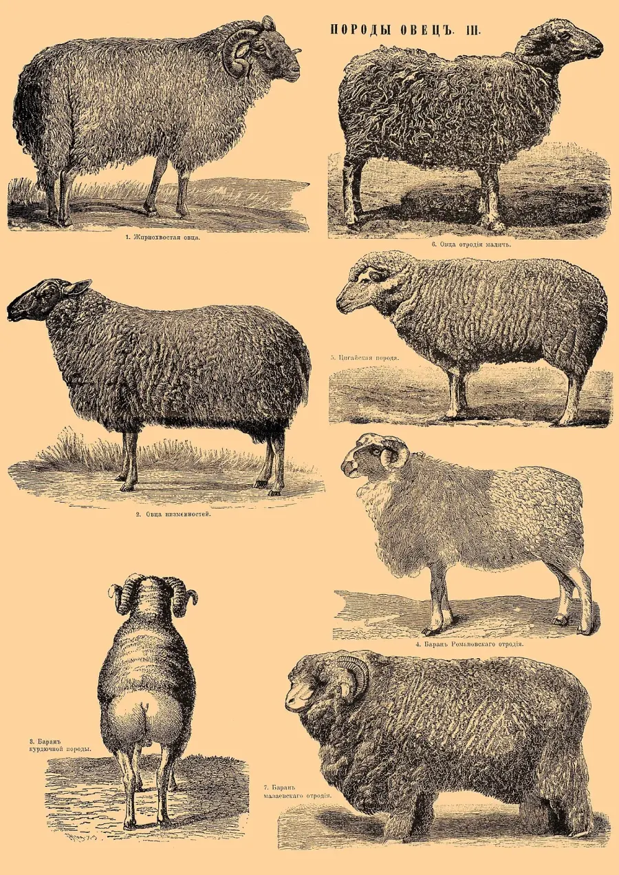 La carte Proles