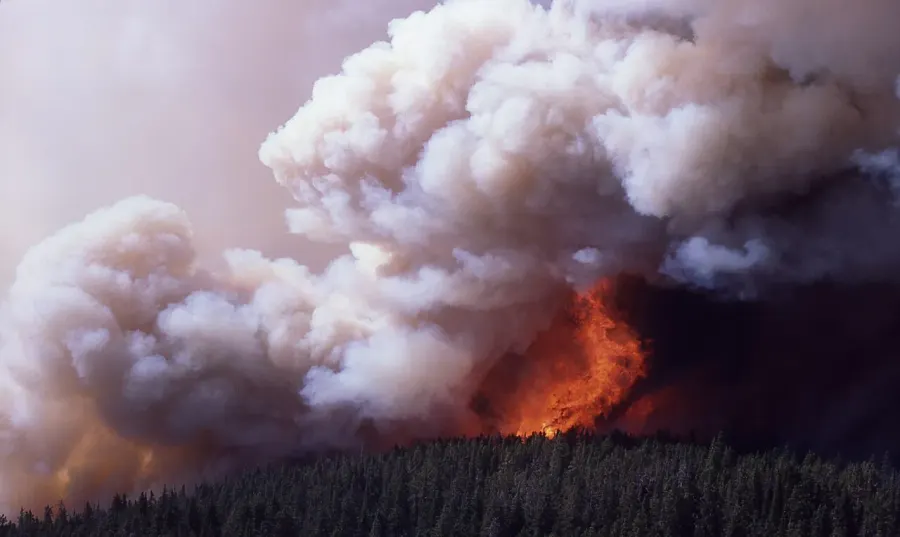 La carte Tempête de feu