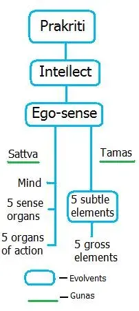 The Prakriti card