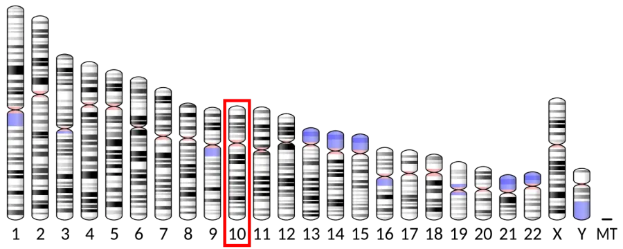 The Melanopsin card