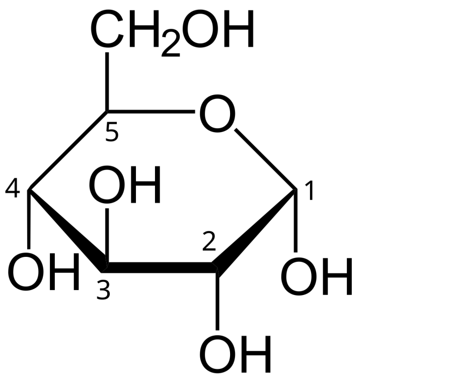 La carte Épimère