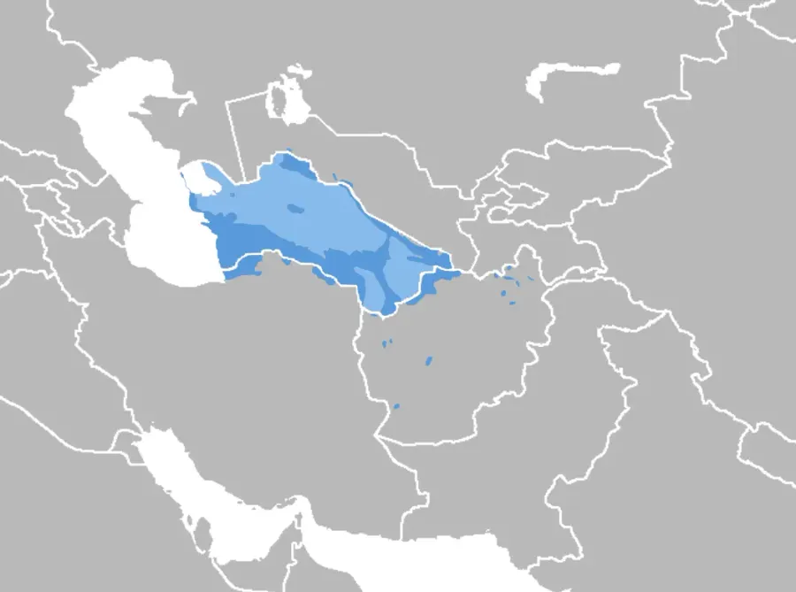 The Turkmen language card