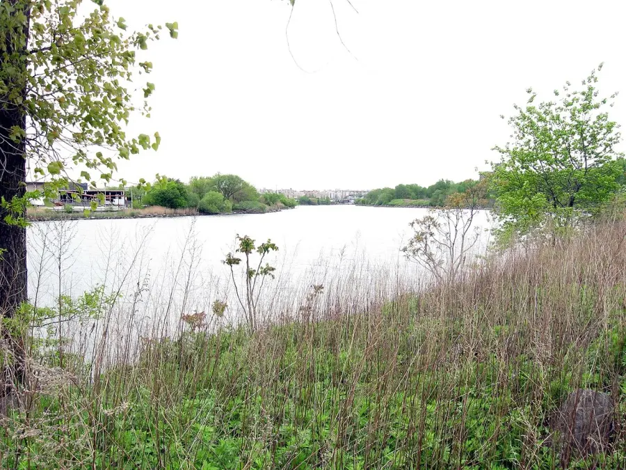 La carte Bronx River