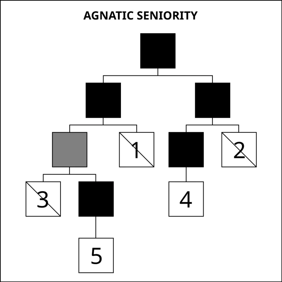 The Agnatic seniority card