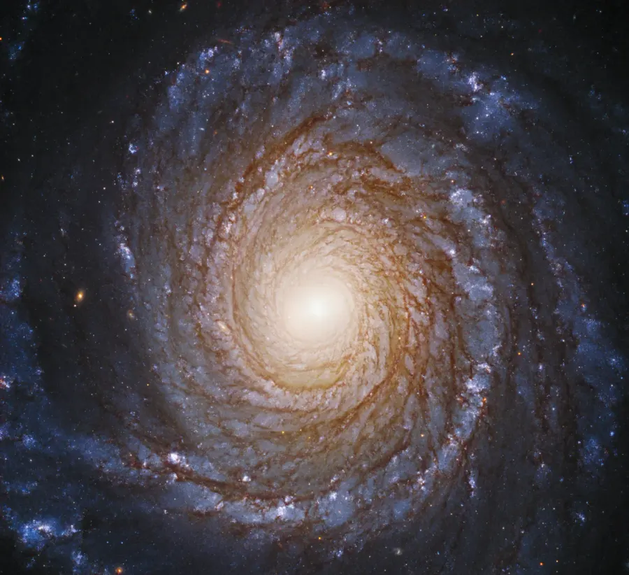 La carte NGC 3147