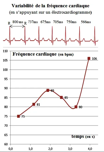 La carte Variabilité de la fréquence cardiaque
