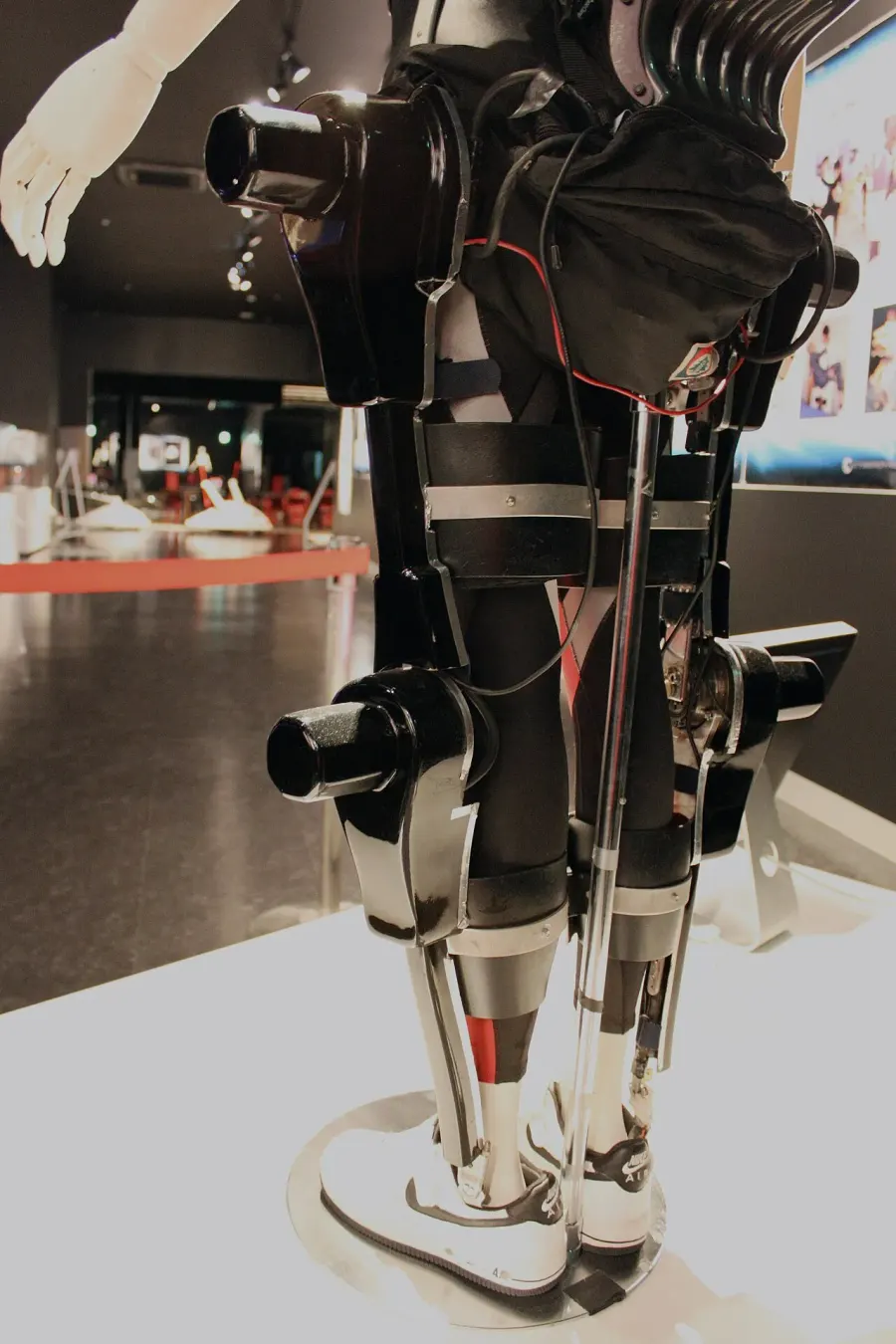 La carte Exosquelette