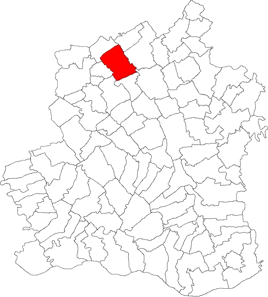 The Ciolănești card