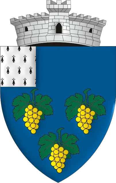 La carte Gura Vadului