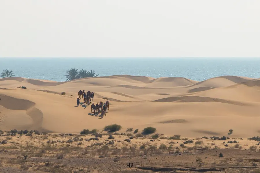 La carte Sistan-et-Baloutchistan