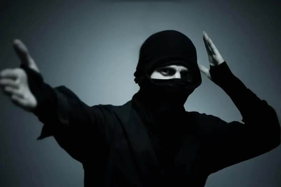 La carte Ninja