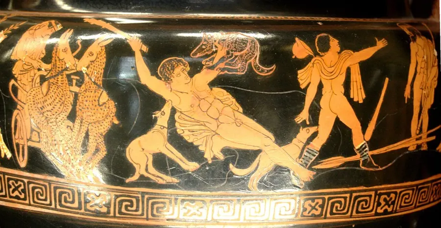 The Autonoë card