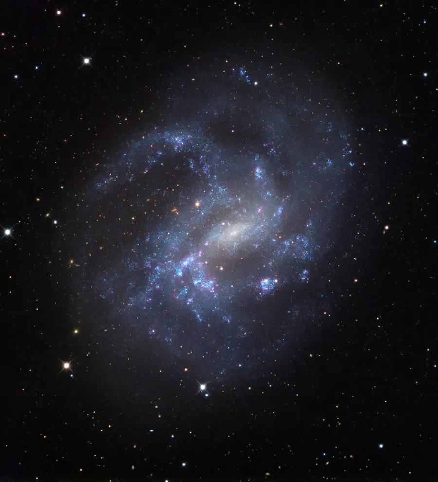 The NGC 4395 card